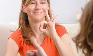 British Sign Language eCourse