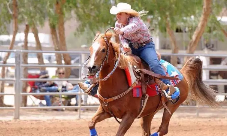 $72 for $130 Worth of Services — MW Performance Horses - Primary Image