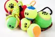 Mixed Mystery Pack of 10 Assorted Dog Toys - Image 2