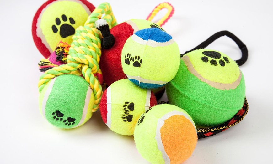 Image 2: Mixed Pack of 10 Dog Toys