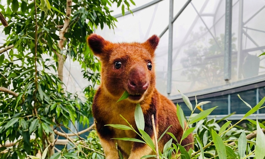 Image 4: Wild Life Sydney Zoo - Adult Entry at Child Prices  -  Members only
