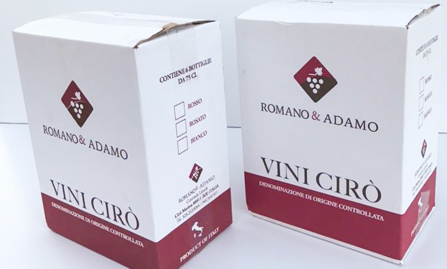 Image 4: Box con bottiglie di vino Cirò