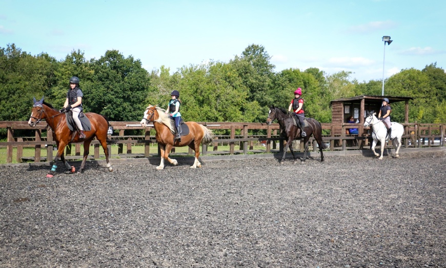 Image 3: Group Horse Riding Class