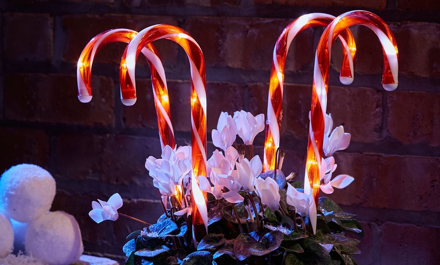 Image 1: Christmas Candy Cane Stake Lights