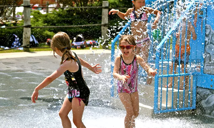 Water-Park Visit for Two or Four at Sea Lion Aquatic Park (50% Off) - Second Medium