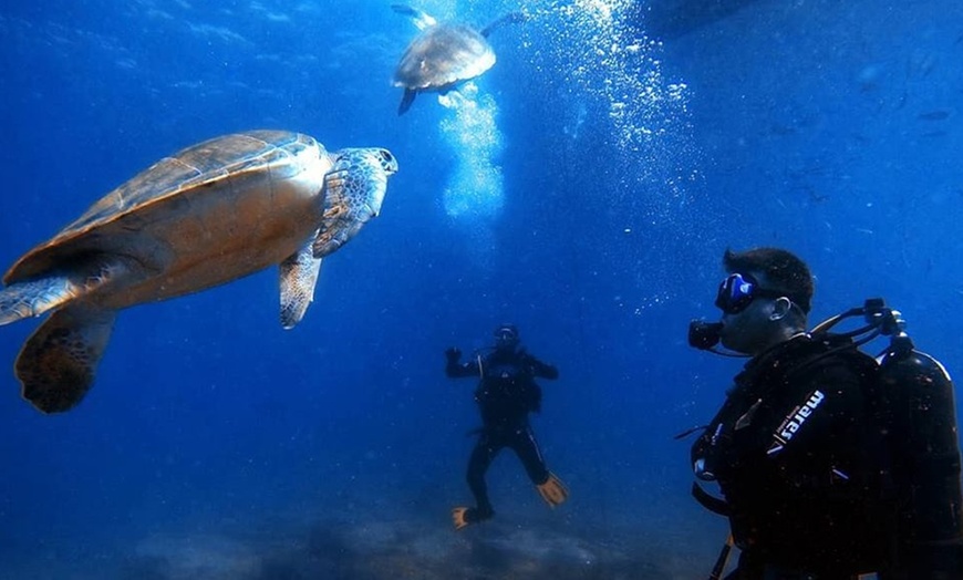 Image 2: Curso SSI Open WaterDiver