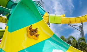 Holiday Sale! Up to 64% on Adventure Island Admission