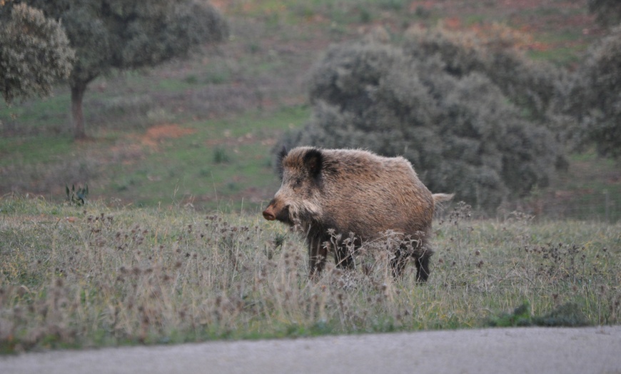 Image 14: Hasta 56% de dto. en CENTRO ANDALUZ DE LA FAUNA SALVAJE