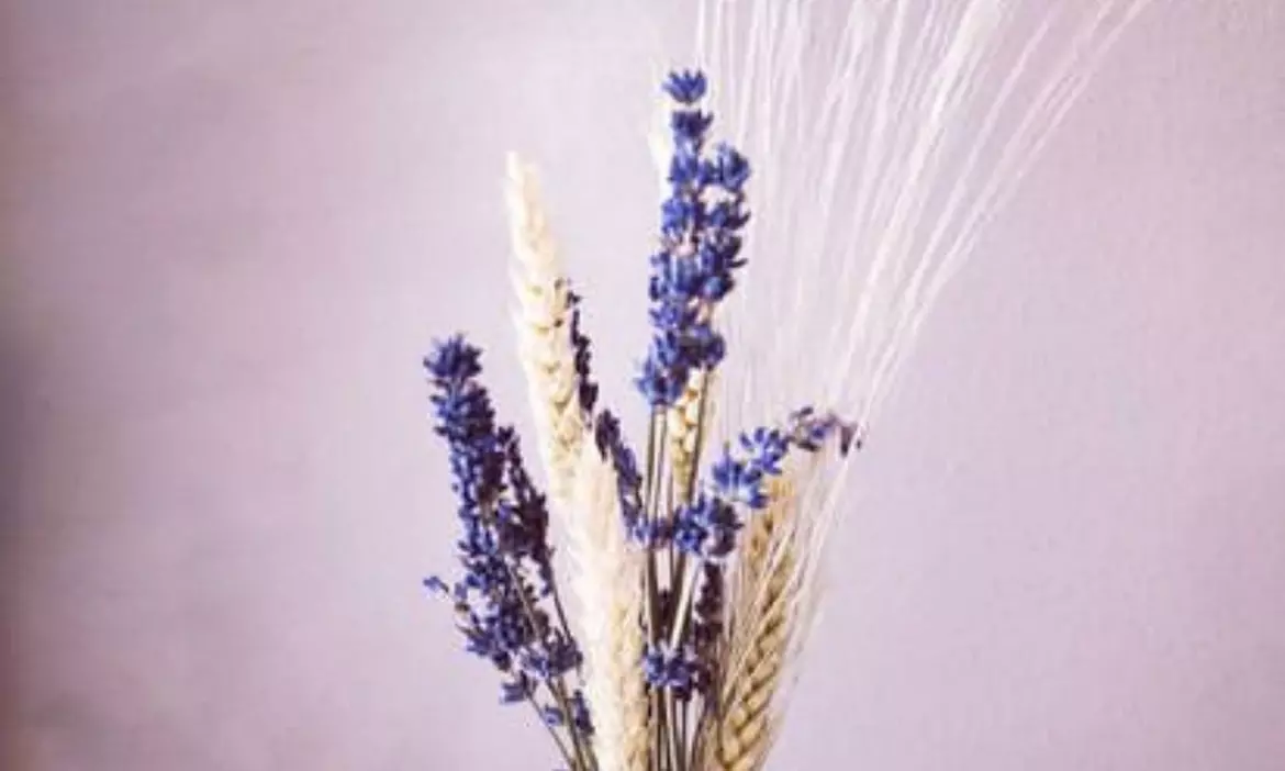 Trockenblumen-Workshop: Flowerloop, Türkranz oder Blumenkranz binden