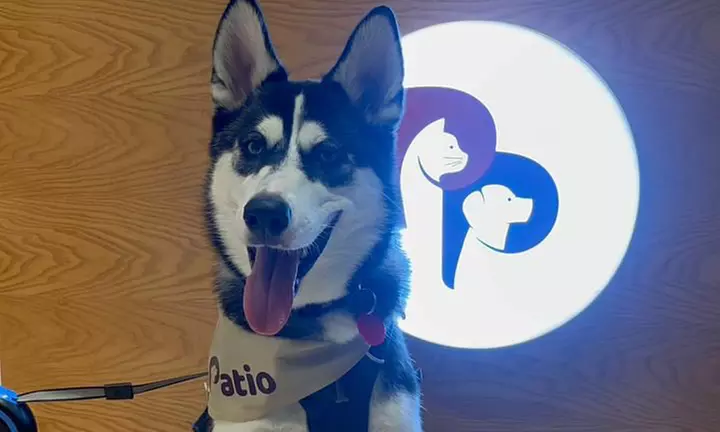 Groom, Grin, and Wag: Unleash Pet Paradise