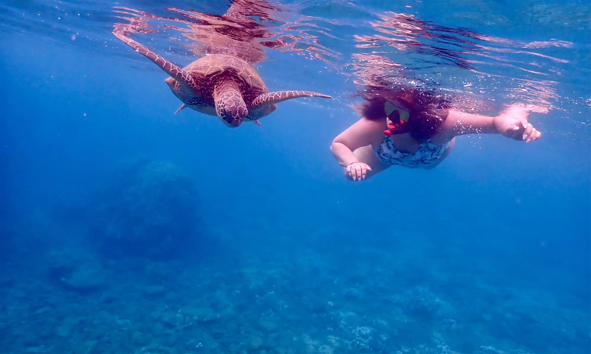 Experience Makena Coast Charters' Private Snorkeling in Maui with up to 23% Off - Primary Image