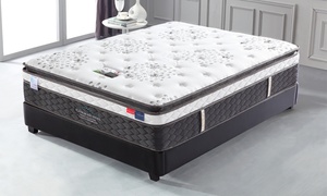  Platinum 6000 Series Pocket Pillow Top Mattress 