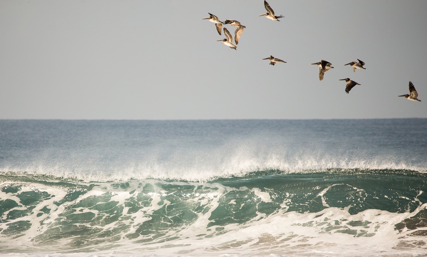 Image 9: ✈6-Night Costa Rica Volcano & Beach Trip w/Air, Car from Travel by Jen