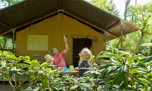 Veluwe: 3 tot 7 nachten glamping of kamperen