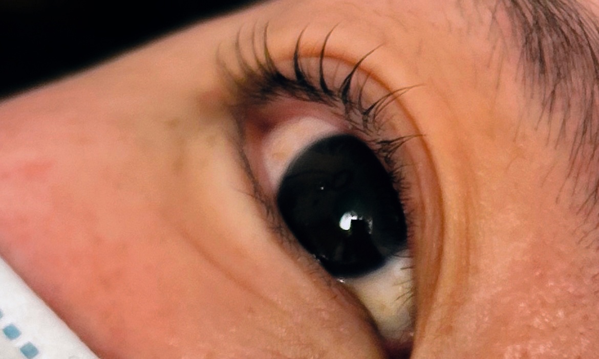 Elevate Your Look with One Eyelash Lift and Treatment!