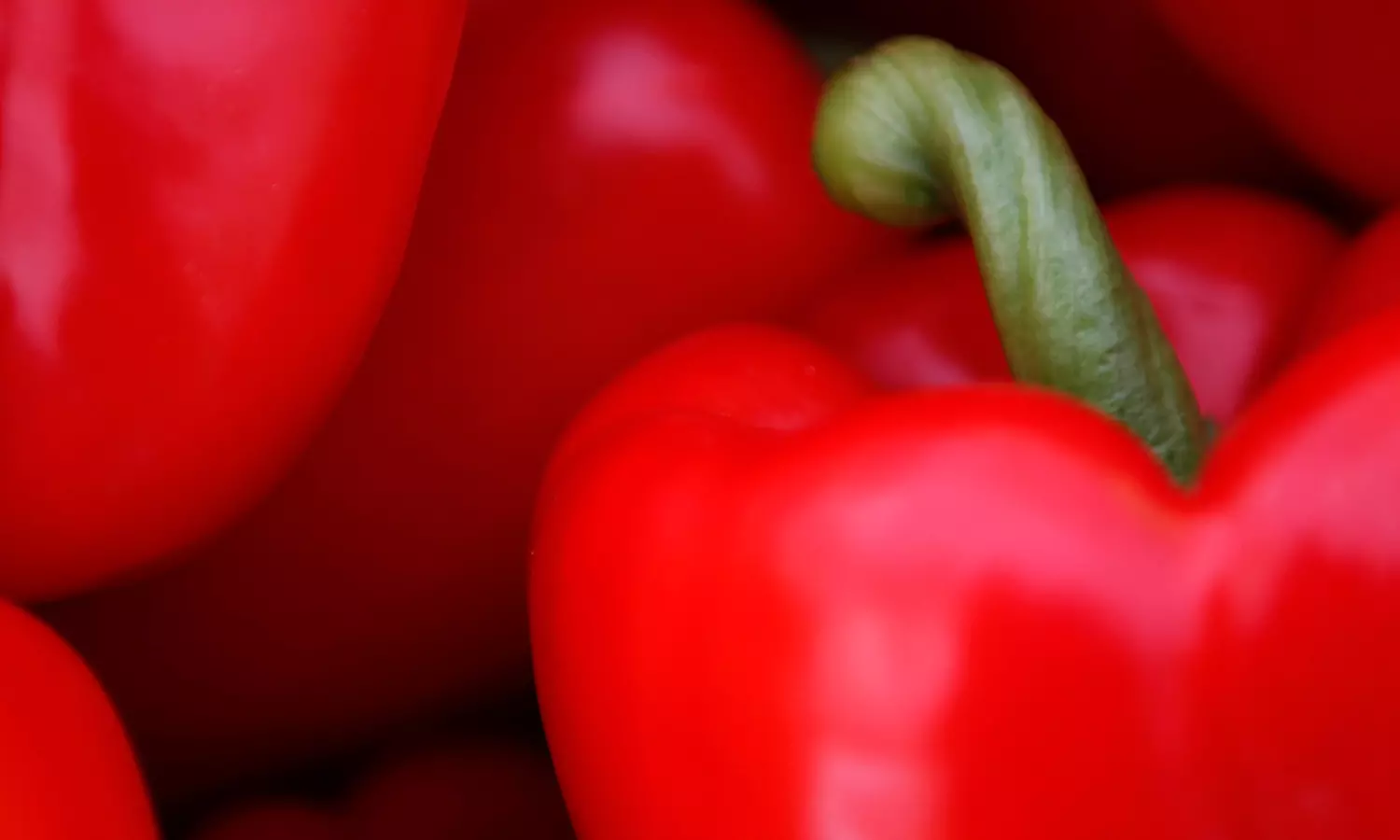 Foto-Workshop & Photowalk Outdoor