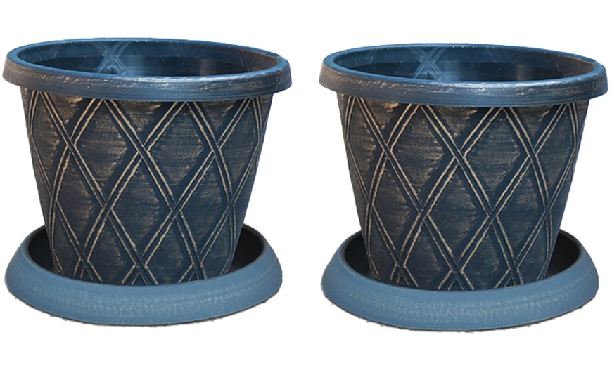 Image 6: Clematis 'Winter Beauty' - 1 or 2 Plants with Optional Tower Pots