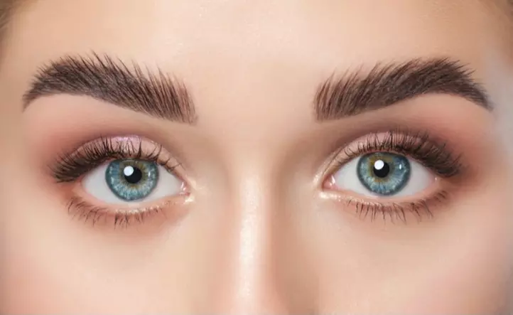 Enhance Your Brows and Lashes with Waxing and Tinting Sessions