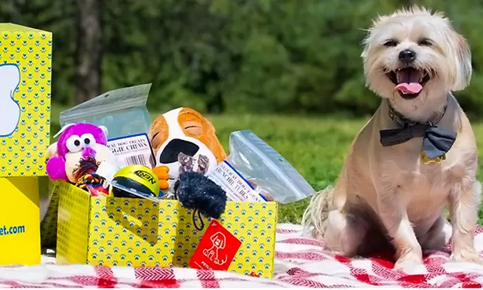 One- or Three-Month Subscription for Delivery of Pet Toys and Treats from Surprise My Pet (Up to 62% Off)  - Primary Image