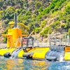Image 3: Nautilus Semi-Submarine Tours—Fun for Kids, Adults & Seniors!
