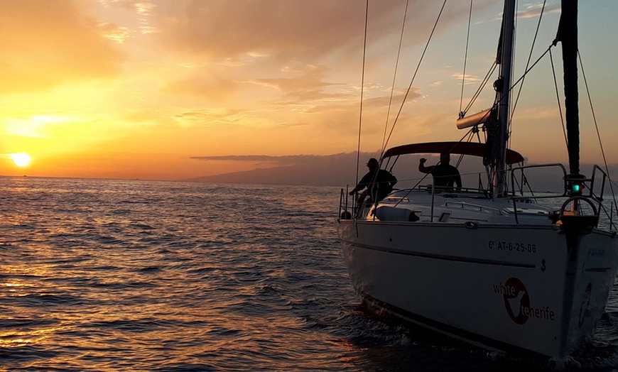 Image 3: Avistamiento de cetáceos en velero exclusivo con White Tenerife