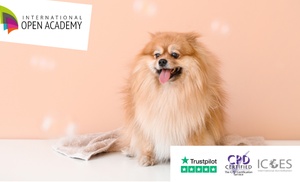 Dog Training and Care Online Course from International Open Academy 