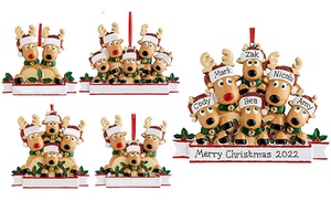 Personalised Reindeer Christmas Tree Decoration