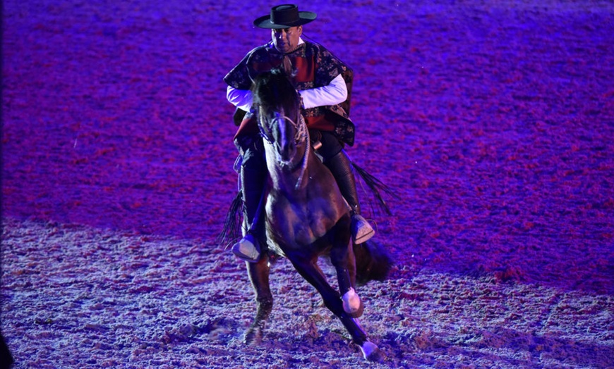 Image 2: London International Horse Show