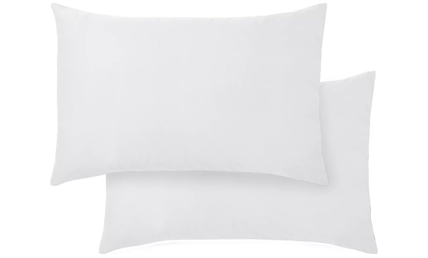 Image 3: Silentnight Forever Fresh Anti-Allergy Pillows