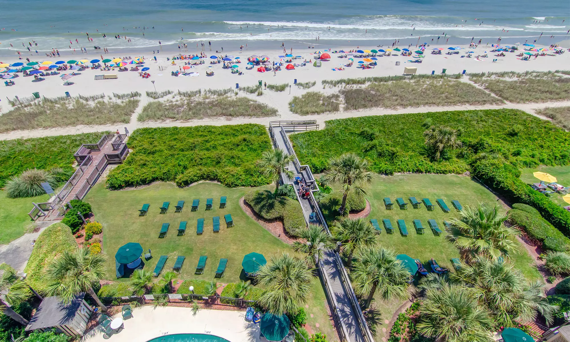 Hotel Stay at Palms Resort in Myrtle Beach, SC. - Primary Image