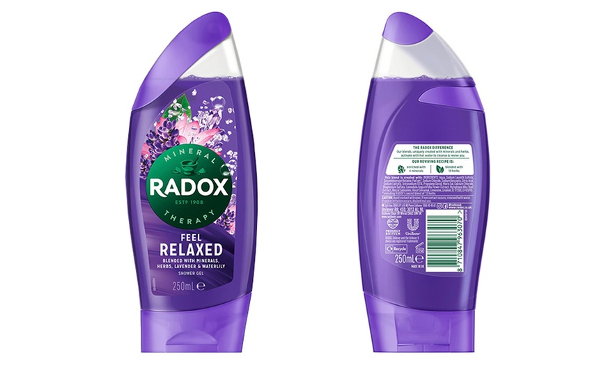 Image 1: One or Six Packs of Radox Shower Gel 250ml