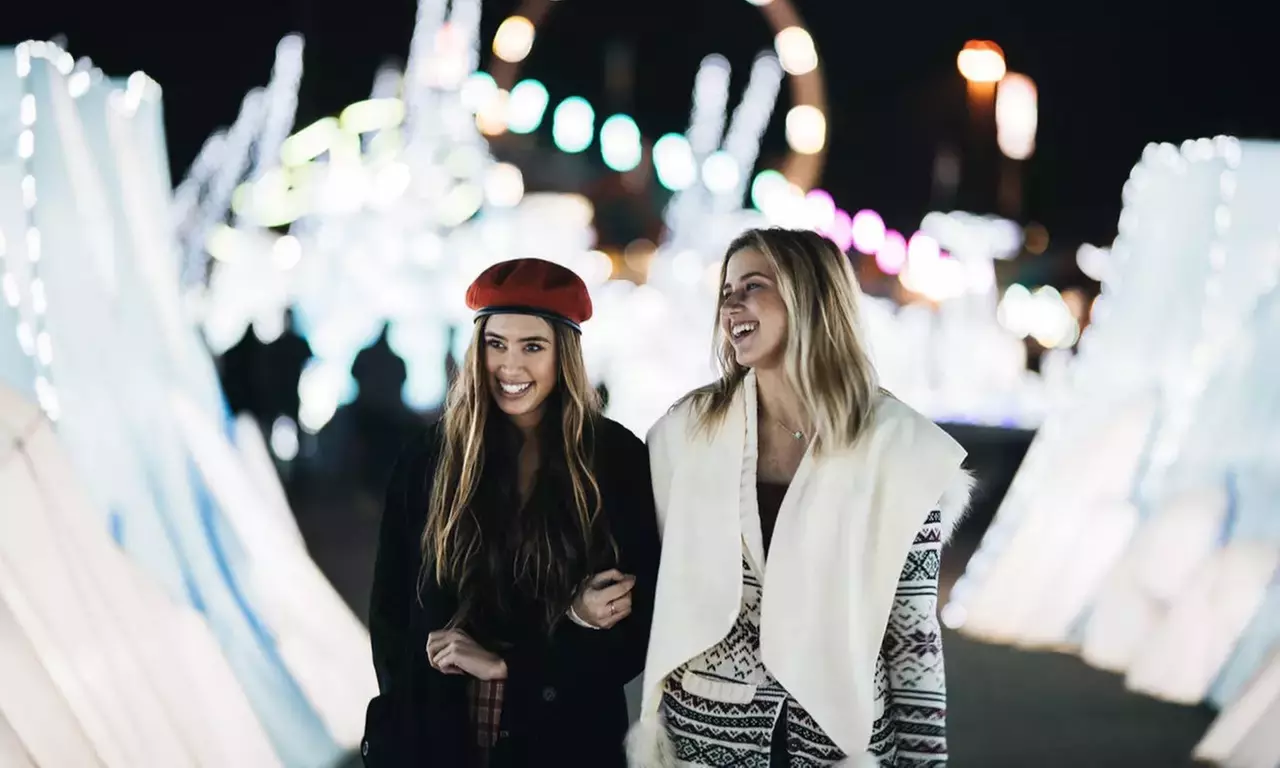 Magical Winter Lights - Houston's Dazzling Holiday Lantern Festival