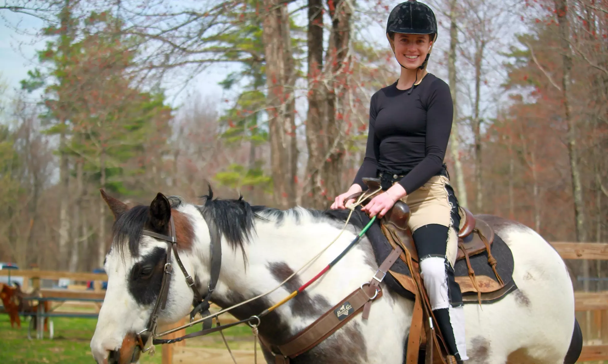 Group Horse-Drawn Sleigh/Wagon Ride with Guide at Cornerstone Ranch