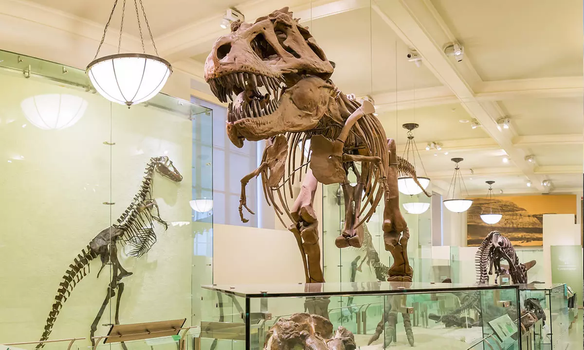 Nueva York: visitas con el Explorer Pass con hasta 10 actividades