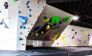 Elevate Your Skills with Advanced Training at Apex Climbing Gym!