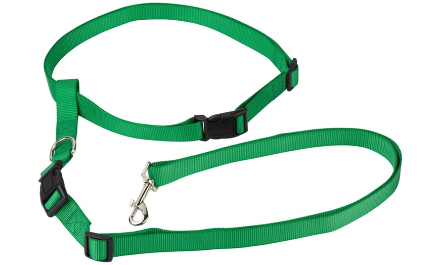 Image 5: Bunty Hands-Free Dog Lead