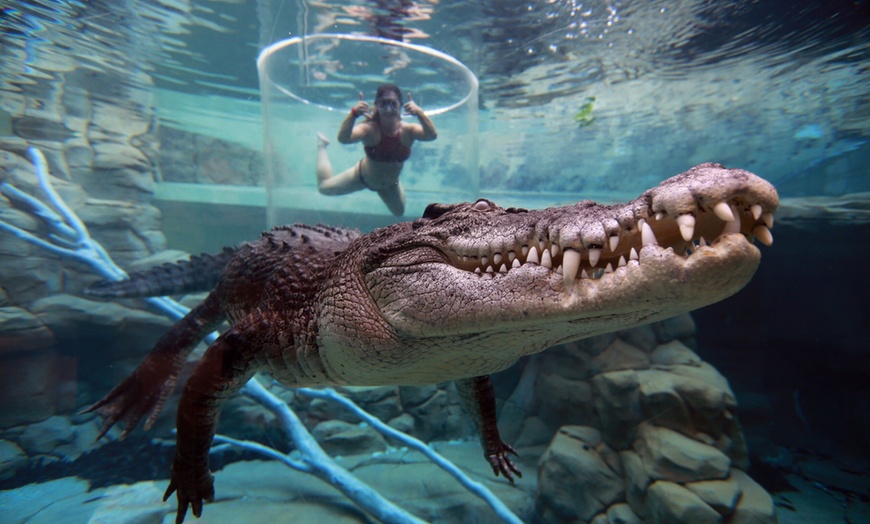 Image 1: Darwin: Cage of Death w/ Full Day Entry or Big Croc Encounter VIP Tour