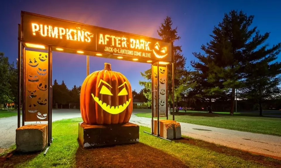 One Night Adult / Child Admission Ticket to Pumpkins After Dark in Milton (Up to 20% Off) - Primary Image