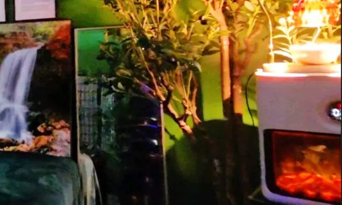 90, 120, 180-Minute Wellness Package: Reflexology, Cupping and More