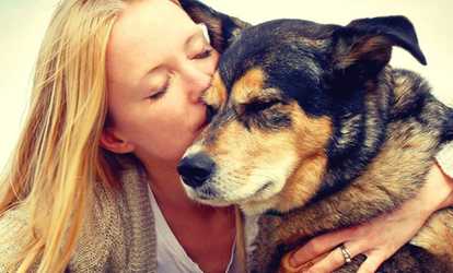 Certified Animal Welfare Course