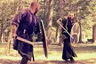 Live the Vikings Life at 8th Vikings Con 2025 w/ Authentic Village Rituals, Talented Harpist, Combat Training & More! - Second Medium