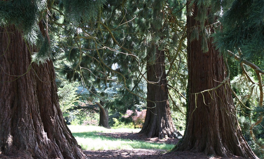 Image 9: Batsford Arboretum Entry
