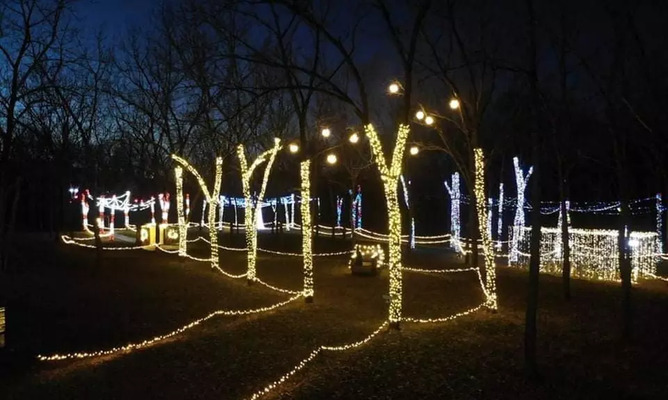 Grove Of Lights Holiday Experience on select dates during November 19–December 25 - Primary Image