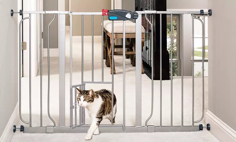 Walk-Through Pet Gate with a Small Swing Door - Second Medium