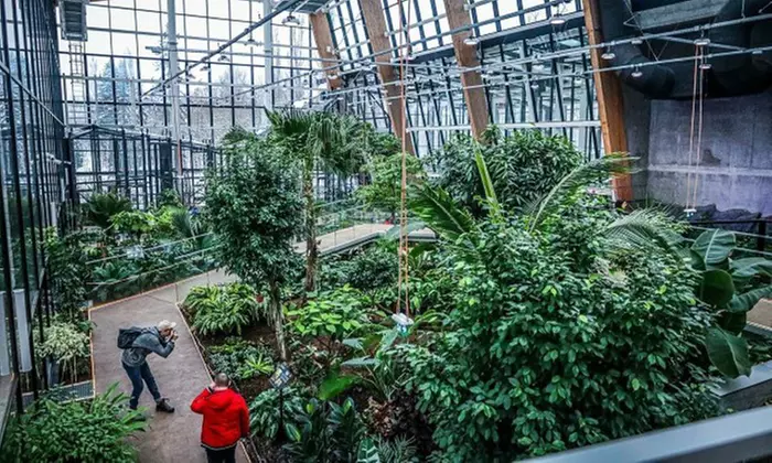 Zobacz z bliska egzotyczne rośliny i zwierzęta: bilety do Egzotarium