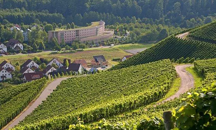 Schwarzwald: 2-5 Nächte für Zwei inkl. Wellness im 4* Best Western Plus Hotel Vier Jahreszeiten Durbach - Primary Image