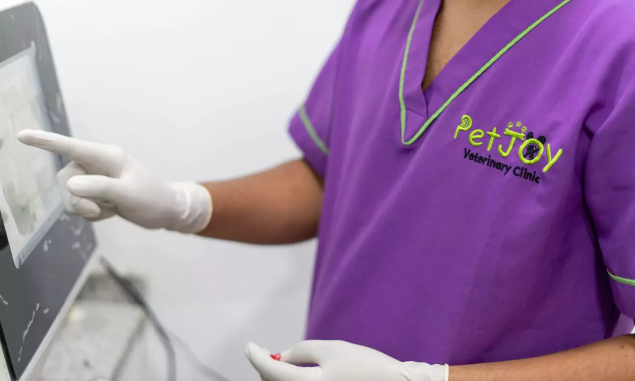 Choice of Pet Medical Checkup, Examination & Deworming