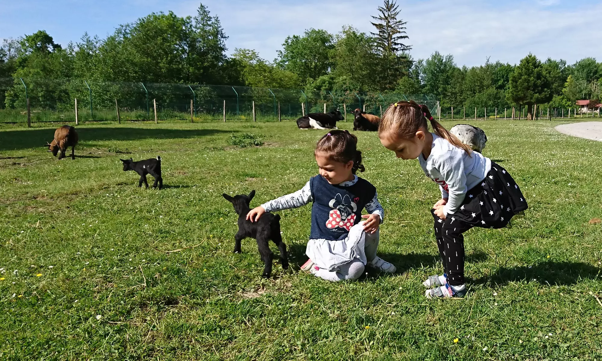 Safari animalier près de Paris avec accès Terre de Singes