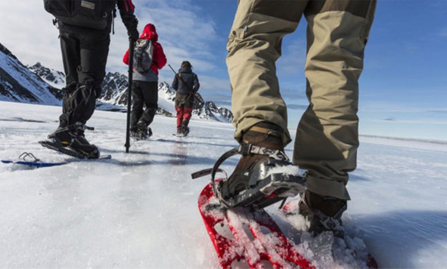 Image 3: Excursión de 4 horas con raquetas de nieve para 2 o 4 personas