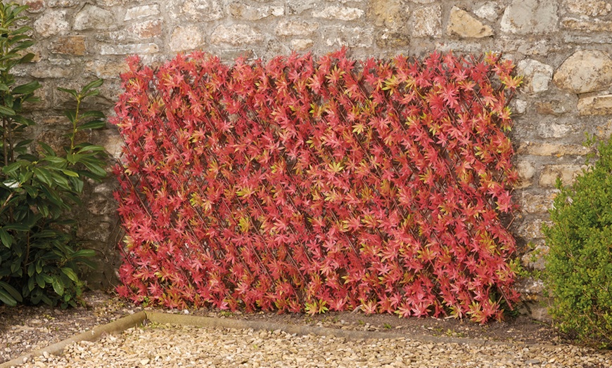 Image 1: Artificial Hedge Trellis